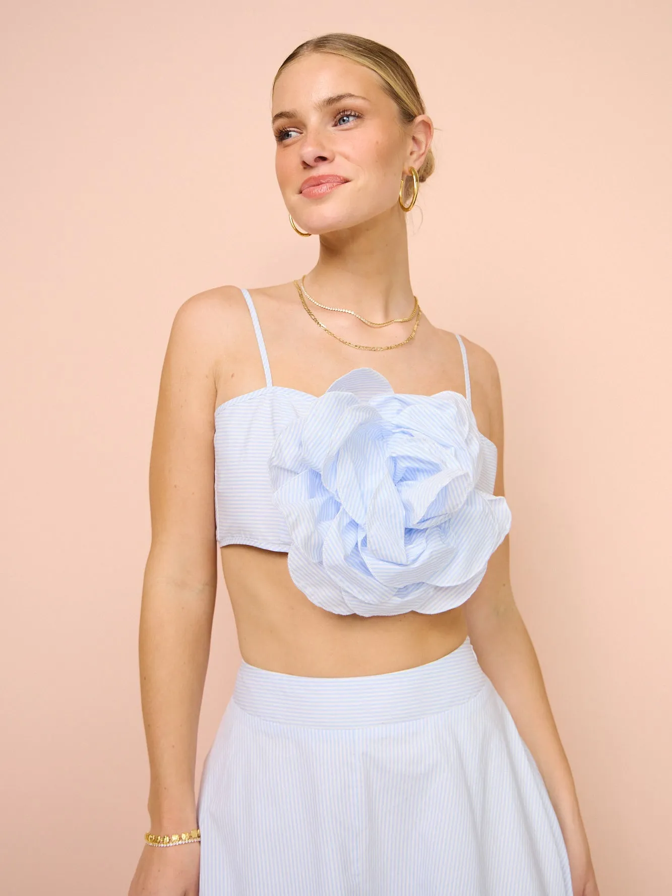 Aston Studio Eliza Flower Top in Ice Blue Fine Stripe