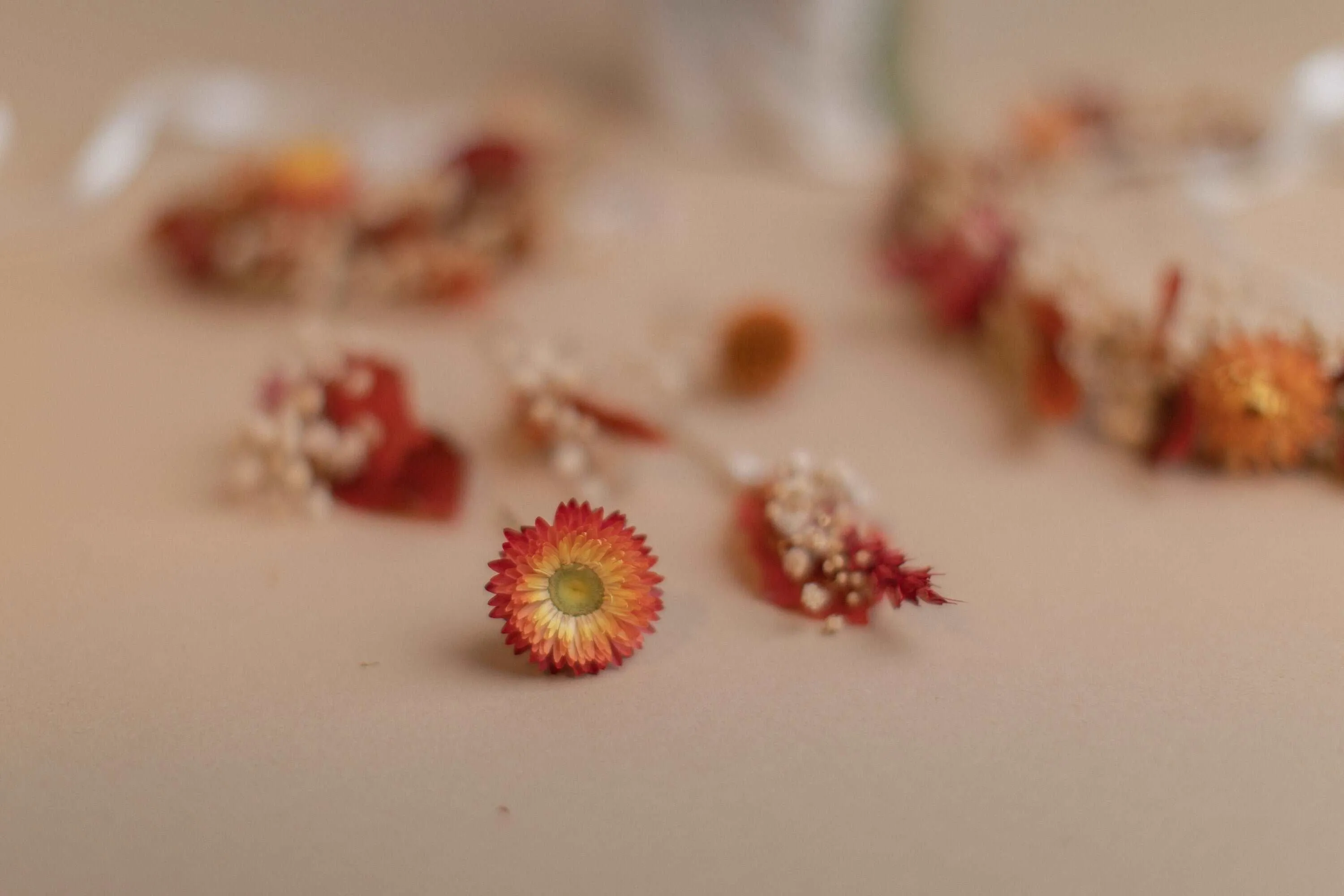 Autumn Terracota Bridal Crown / Dried Autumn Flowers Wedding Crown