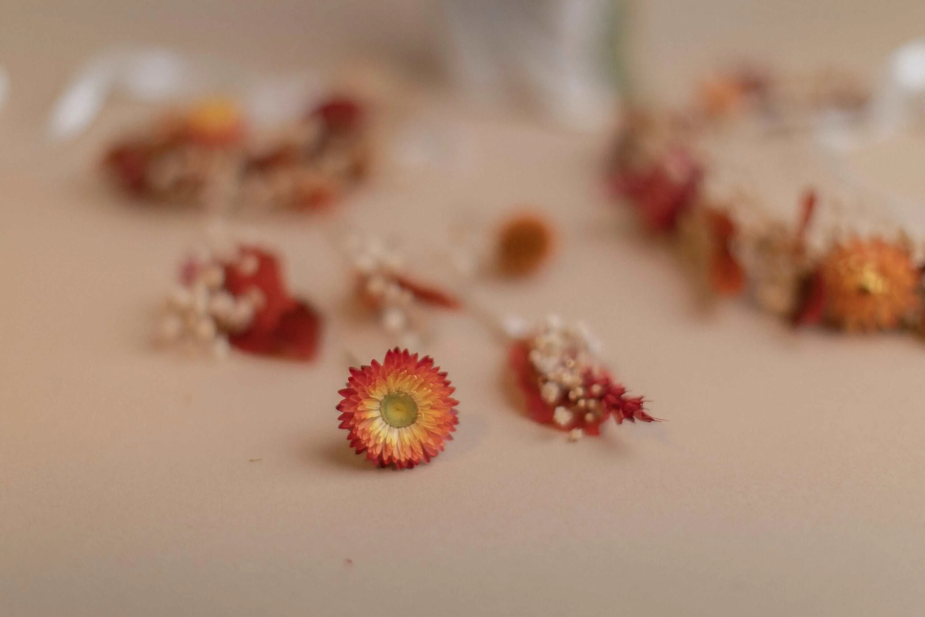 Autumn Terracota Bridal Crown / Dried Autumn Flowers Wedding Crown