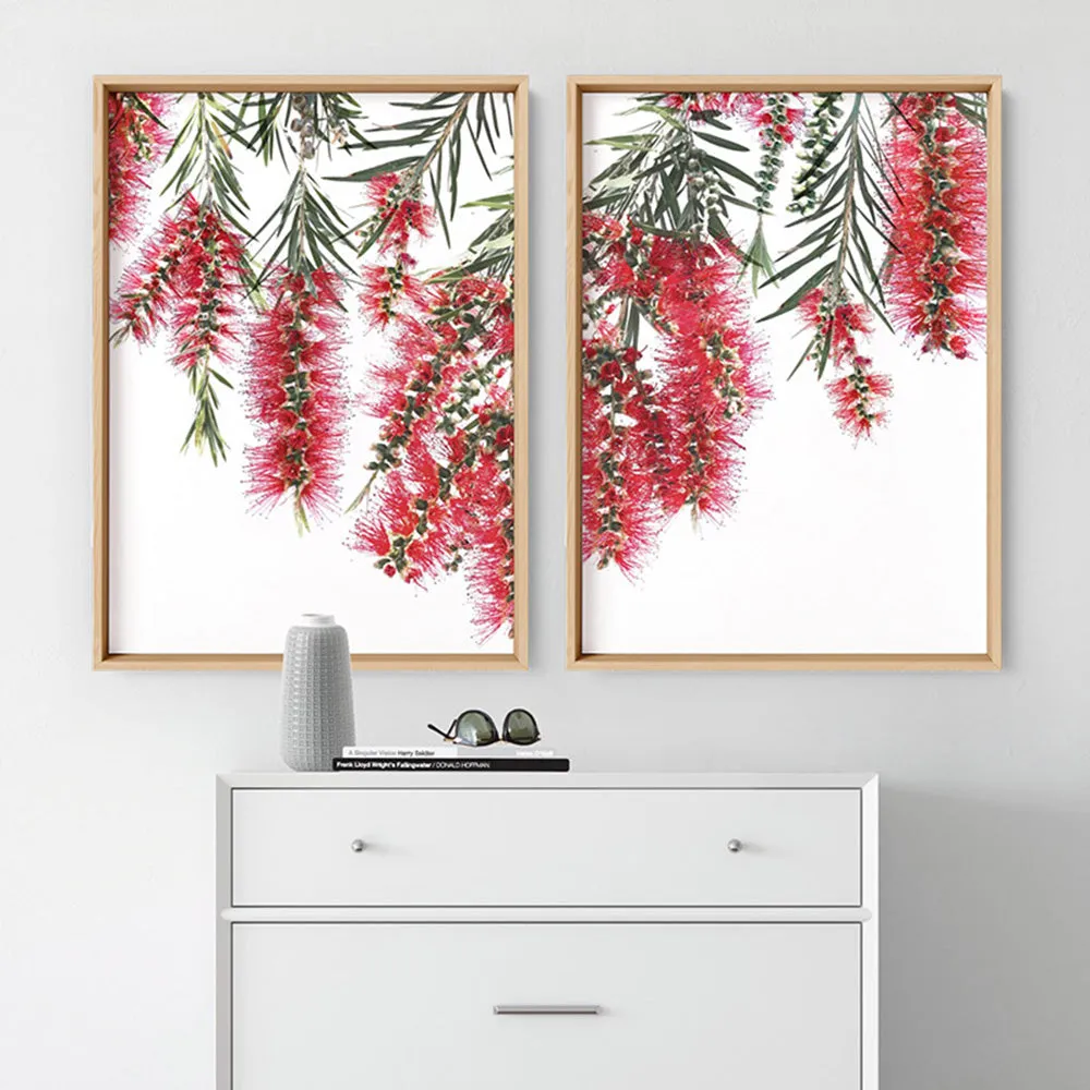 Bottle Brush Flowers I - Art Print