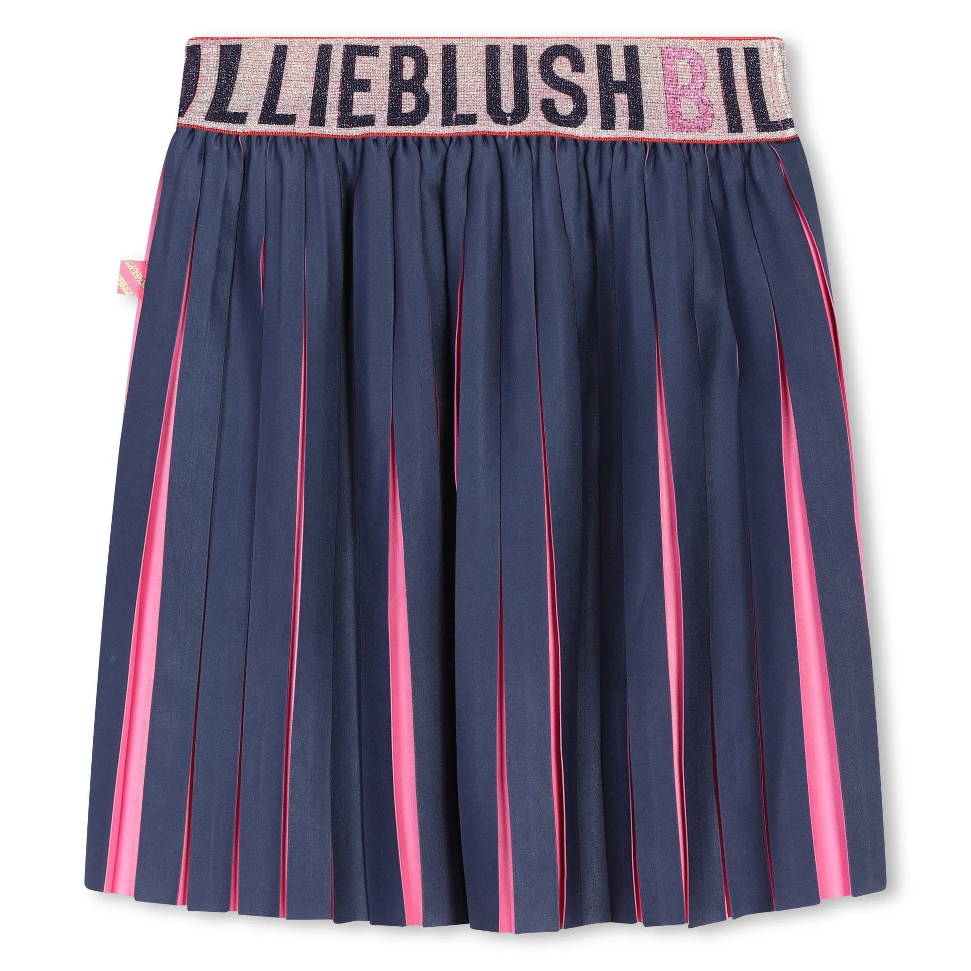 Navy Pleated Skirt